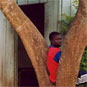 Toon artikel 'Te gast in Abidjan'