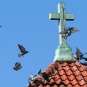 Toon artikel 'Pinksteren: de Hemelvaart wordt concreet'