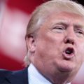 De Trump-storm is door kiezers gezaaid