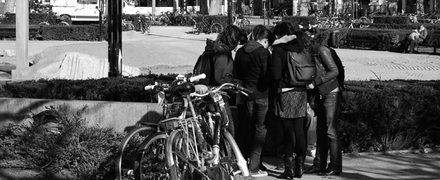 Het Vlaamse onderwijsdrama