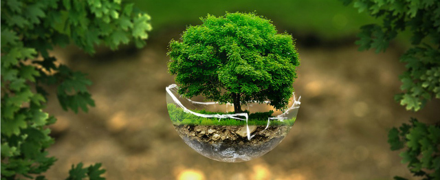 Negen keer mediteren over de ecologische crisis met Bidden Onderweg