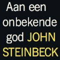 John Steinbeck, Aan een onbekende God